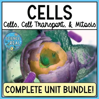 Cells Unit
