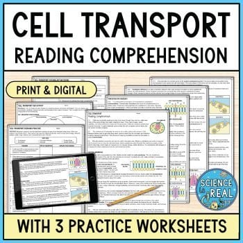 Cell Transport Reading Comprehension