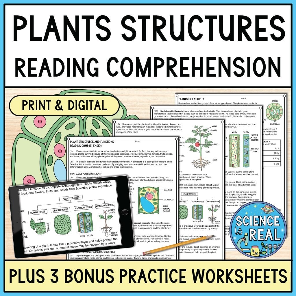 Plants Reading Comprehension