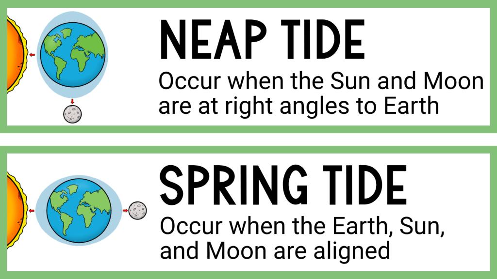 Science Word Walls