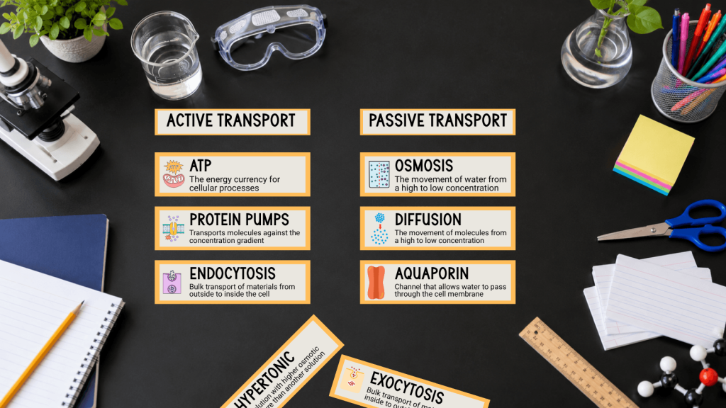 Science Word Walls