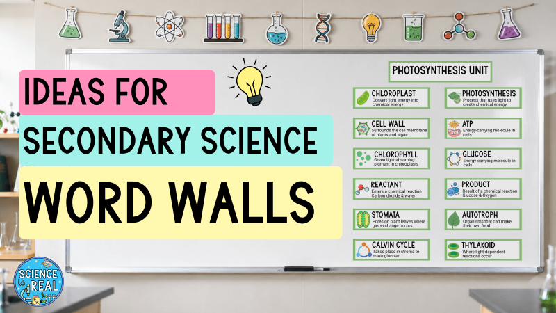Science Word Walls