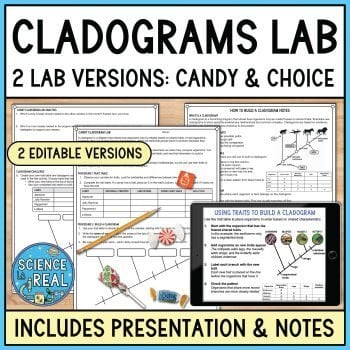 Cladograms Lab Candy Cladograms